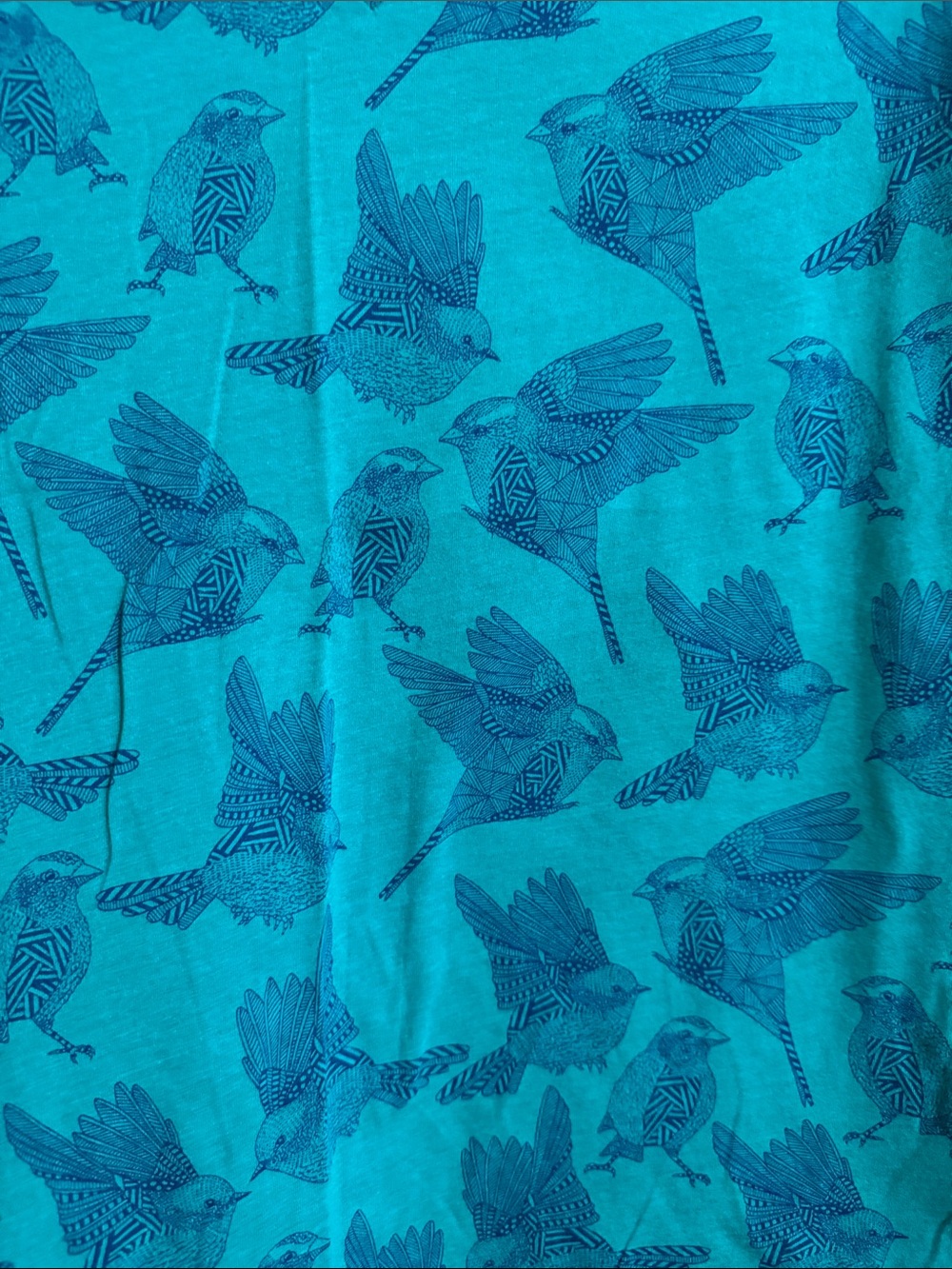 NWOT: Mossimo Supply Co. Teal V-Neck Bird Print Tee - Picture 3 of 5